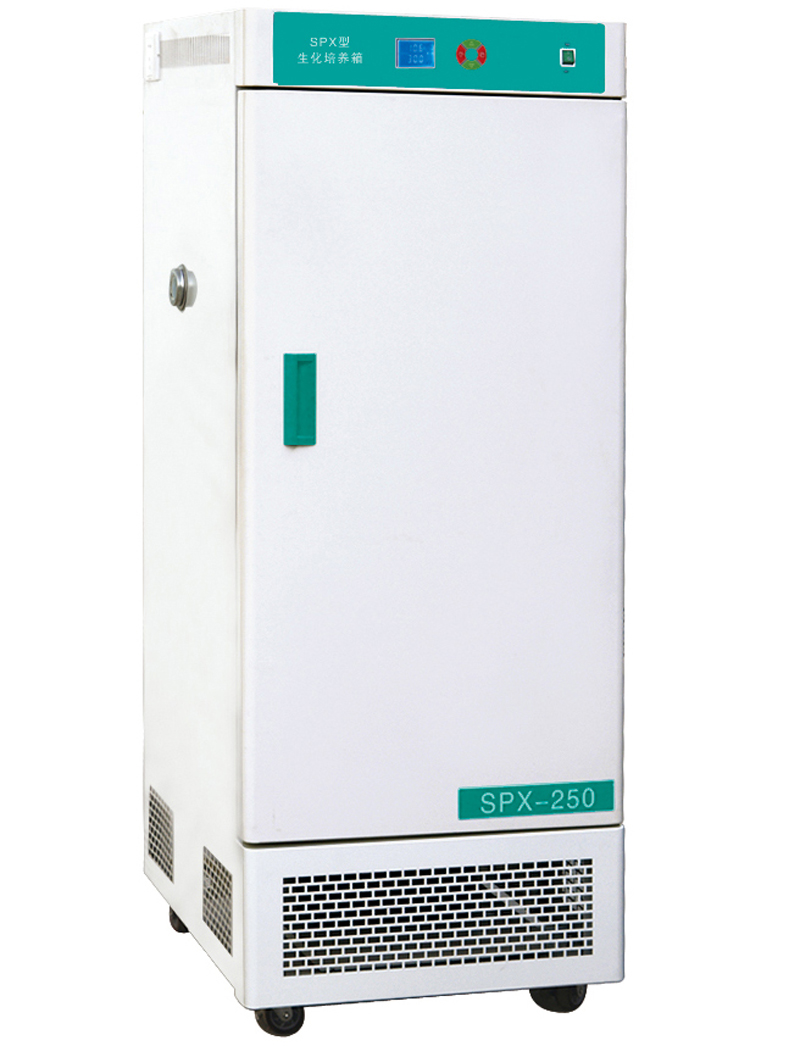 Incubatore di temperatura costante biologica di laboratorio
