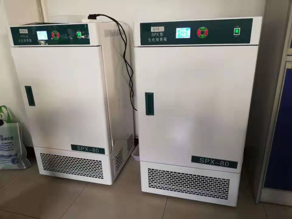Incubatore di raffreddamento BOD di laboratorio