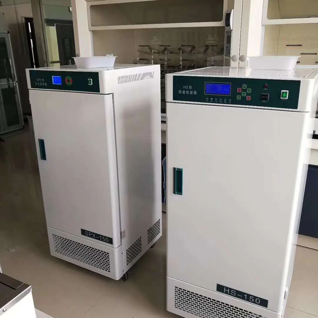 Incubatore costante di temperatura e umidità per laboratorio