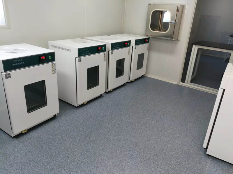 Incubatore di riscaldamento elettrico a temperatura costante di laboratorio