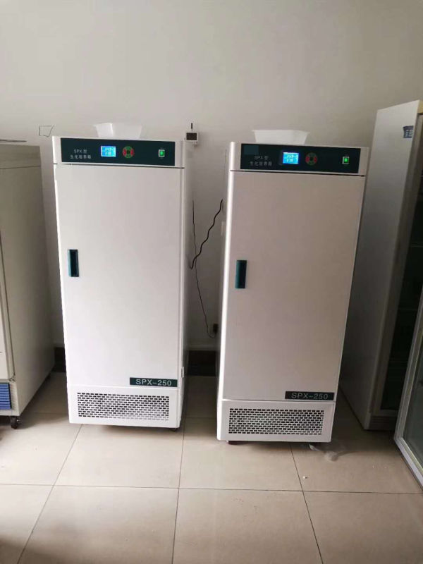 Incubatore biochimico