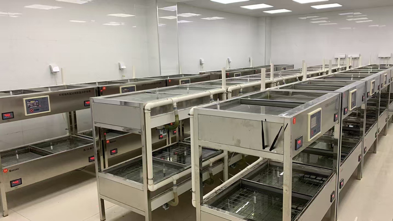 Bagno di cemento di laboratorio