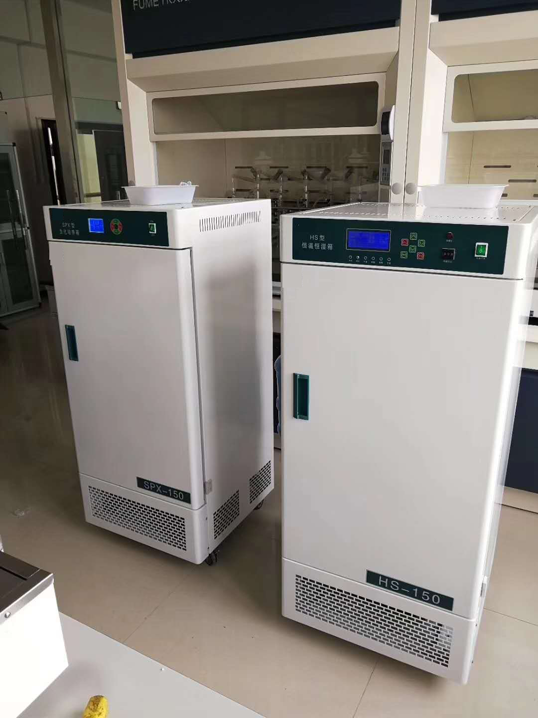 Incubatore costante di temperatura e umidità
