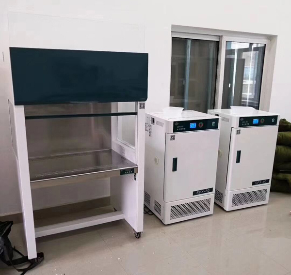 Cappuccio di flusso laminare standard